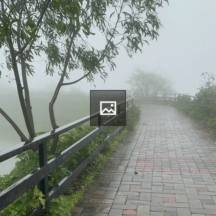 Paved Path with Foggy Greenscape