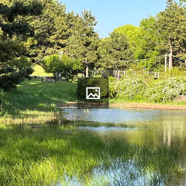 Pond with wooden bridge