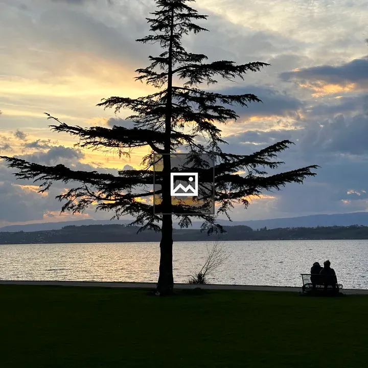 Couple on bench by sunset lake