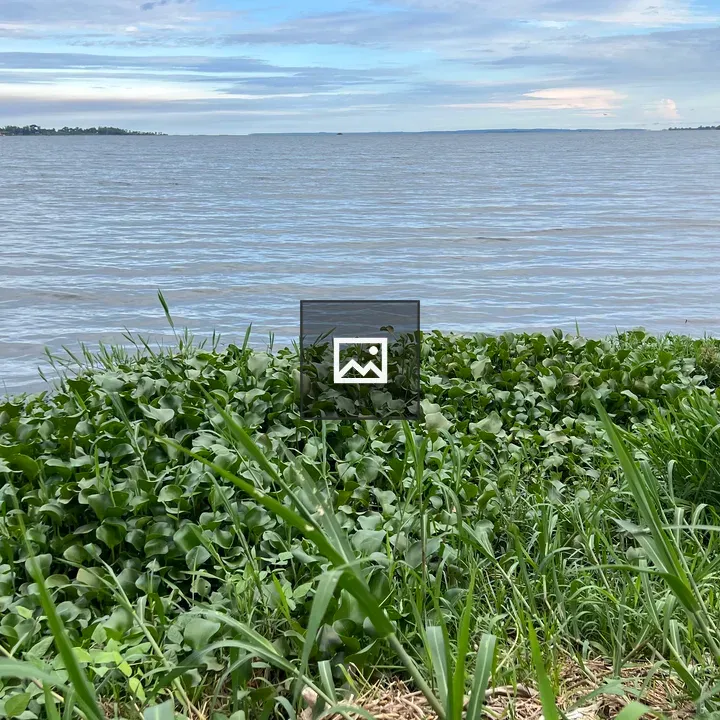 Water and Wetland Vista