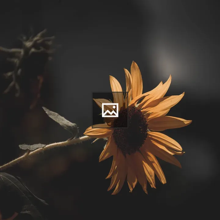 Moody yellow flower
