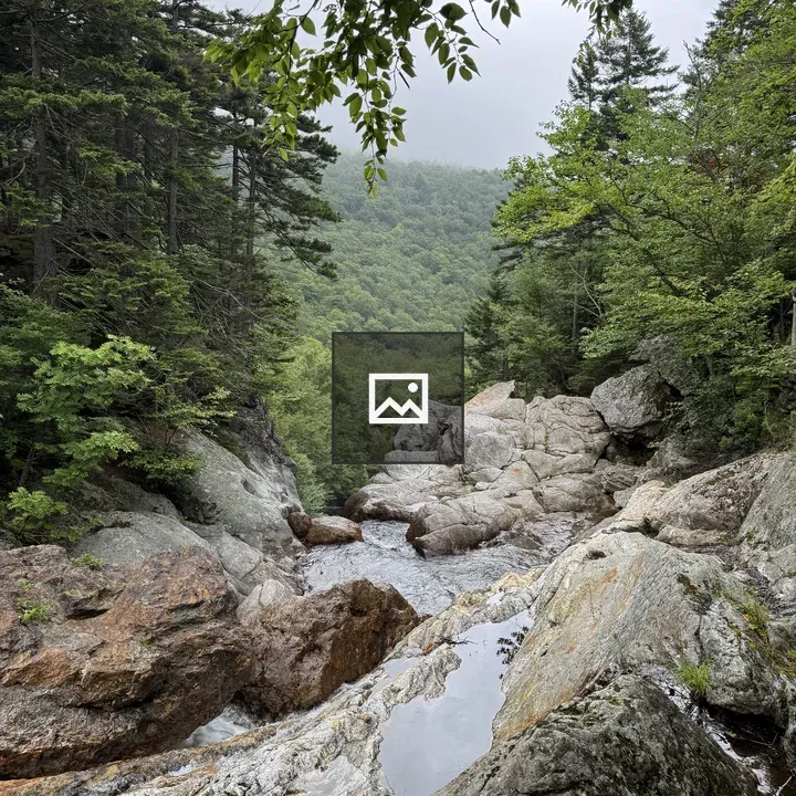 Rocky Cascade in Forest