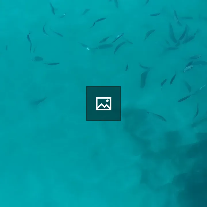 Fishes in turquoise sea