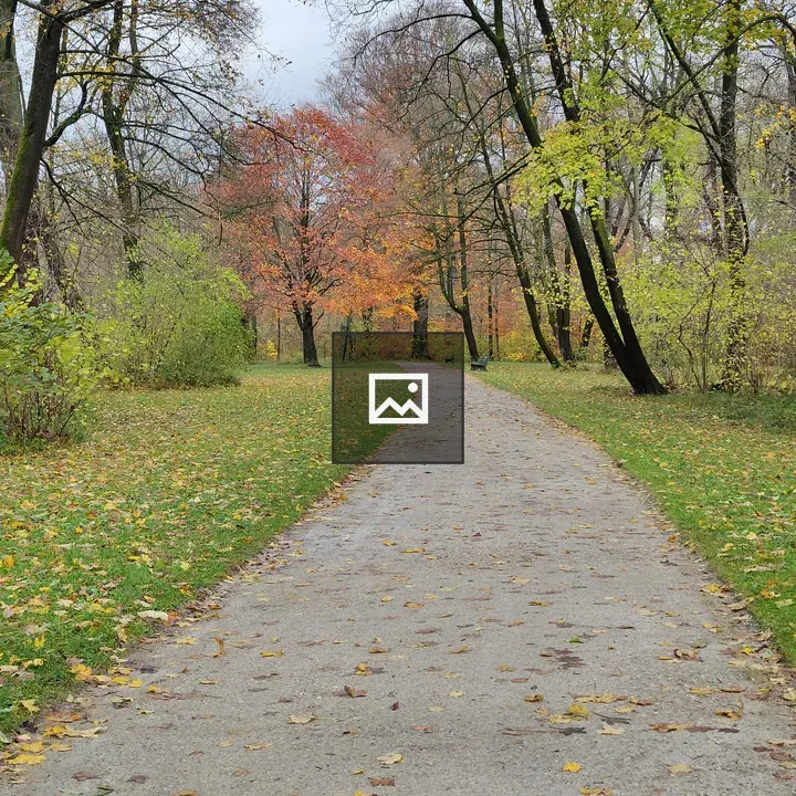 Park Path in English Garden Munich