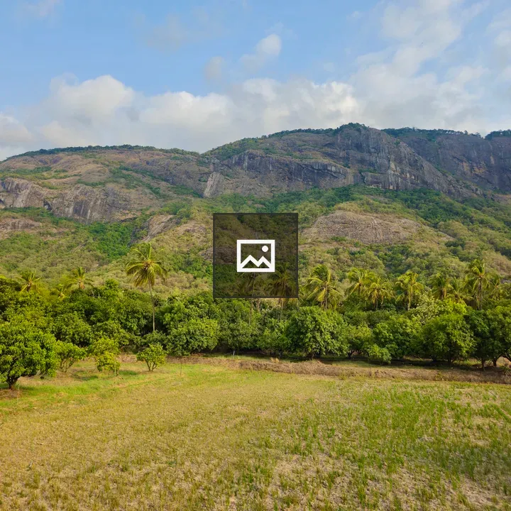 Rural Kerala landscape with hills and coconut trees