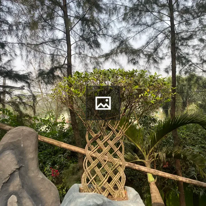 Braided tree in rocky planter