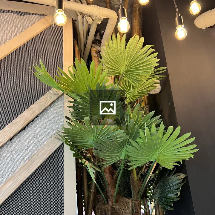 Plant in a Stylish Vase