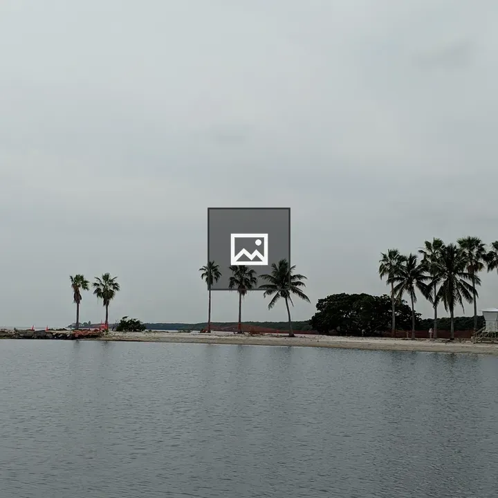 Still water with palm trees
