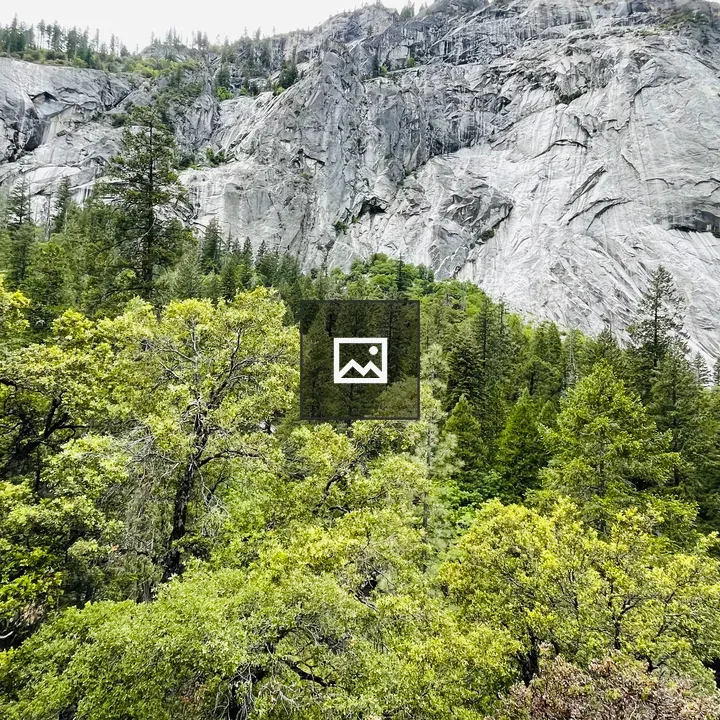 Yosemite landscape