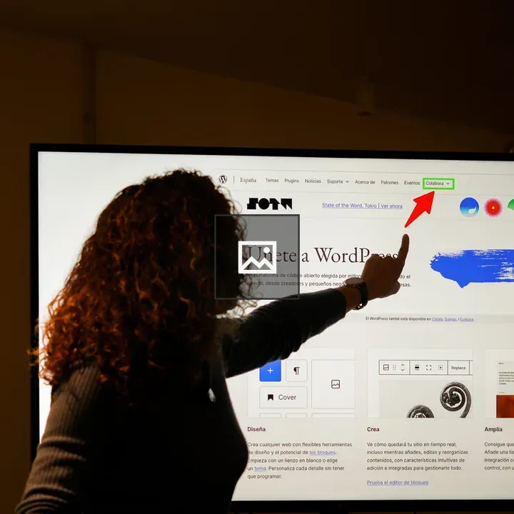 Silhouetted Person Pointing at Webpage