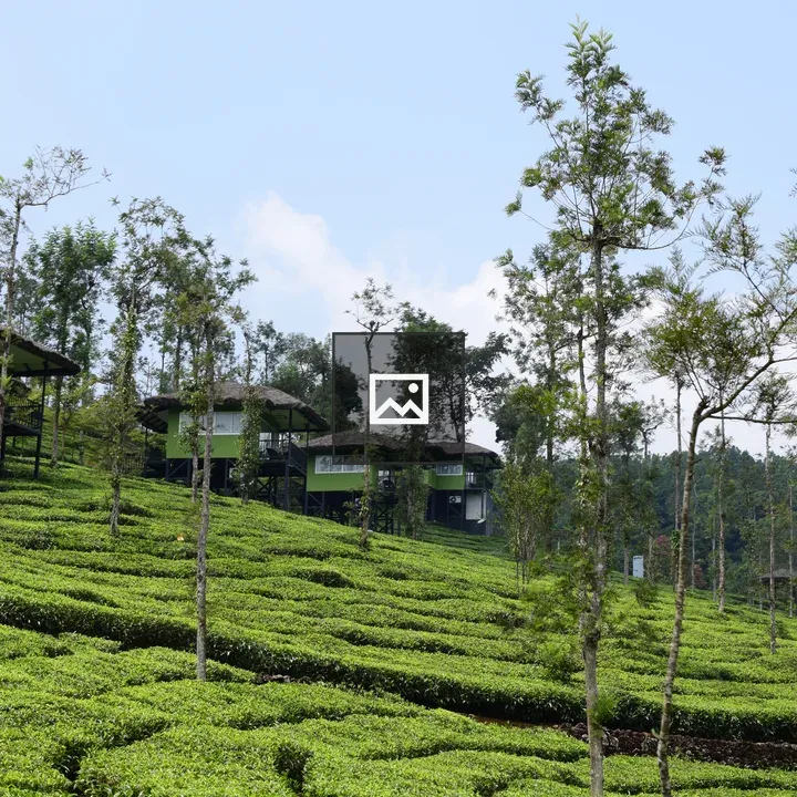 Tree huts at wildPlane resort