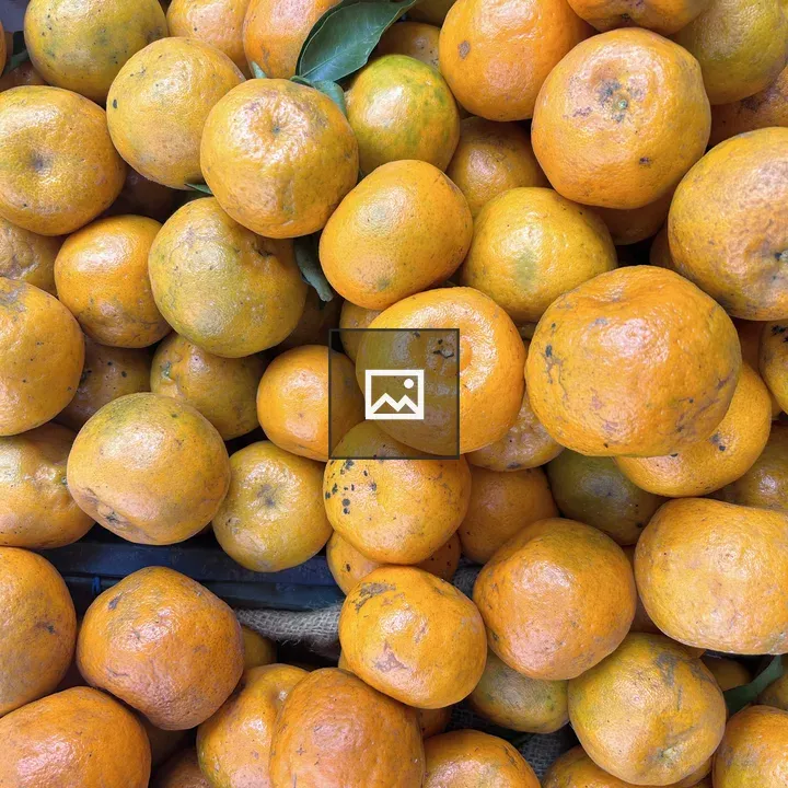 Oranges in Portrait