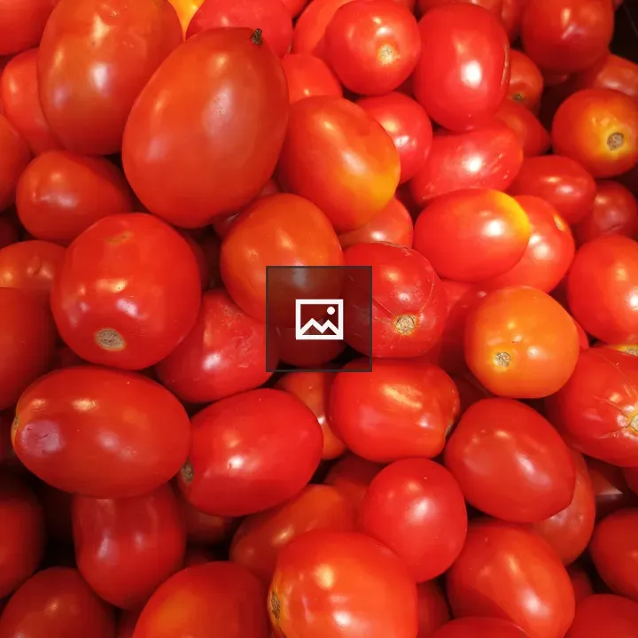 Tomatoes Display