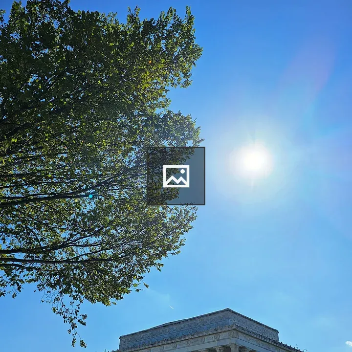 The afternoon son, oak tree & Lincoln Memorial