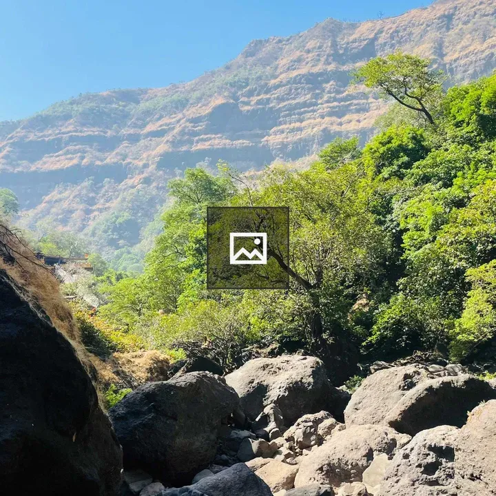 Rocky landscape with trees