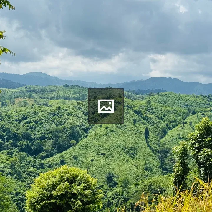 Scenic hills near Bandarban