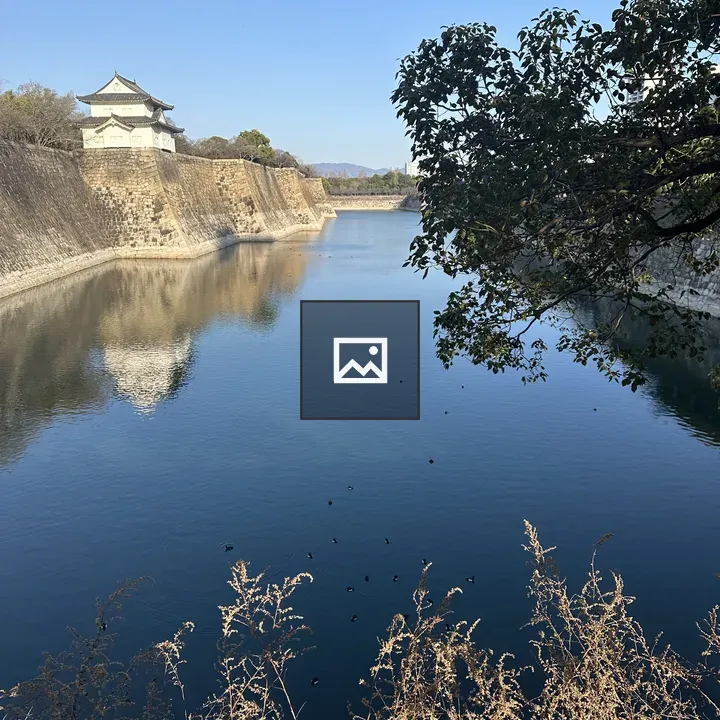 Japanese castle by river