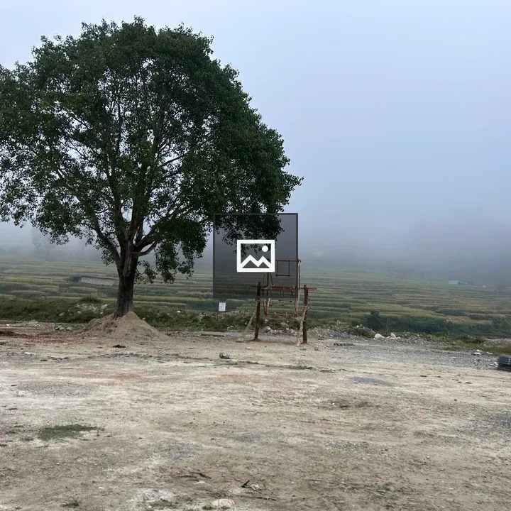 Single tree with Nepal swing