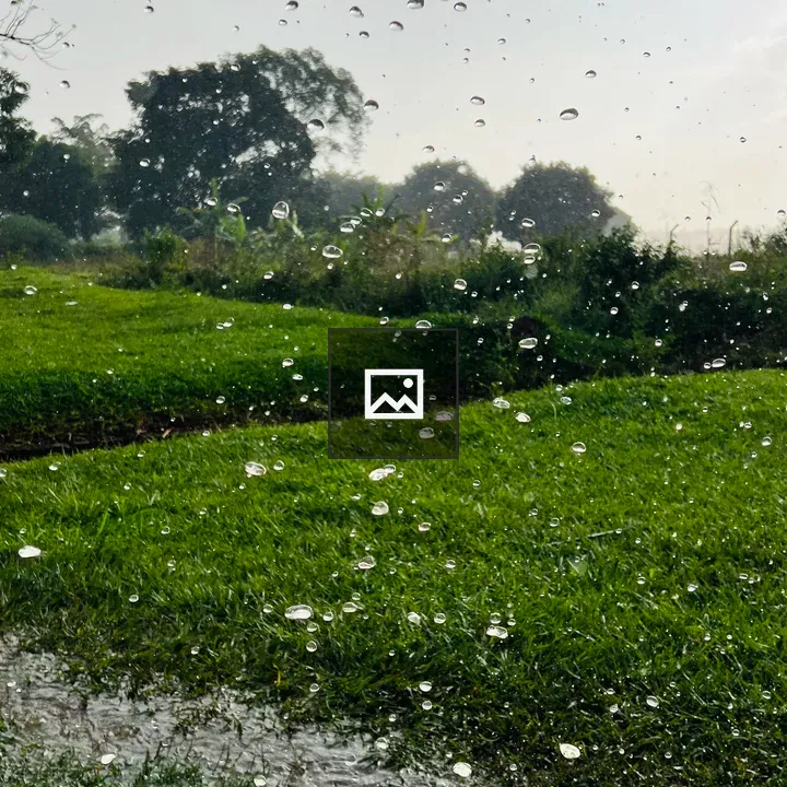 Green Field with Water Droplets