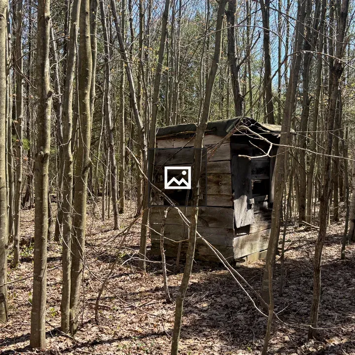 Old deer hunting blind in forest