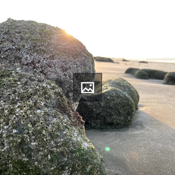 Small stone on sunlit beach