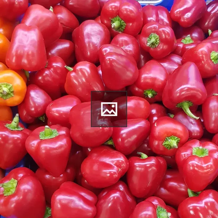 Red capsicum on white