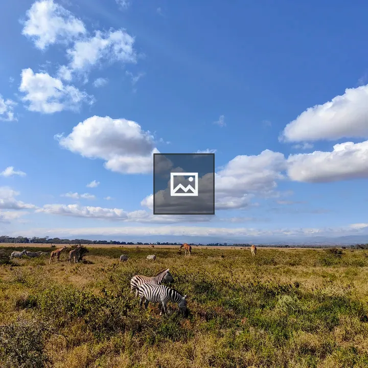 Zebras and Giraffes in African Grassland