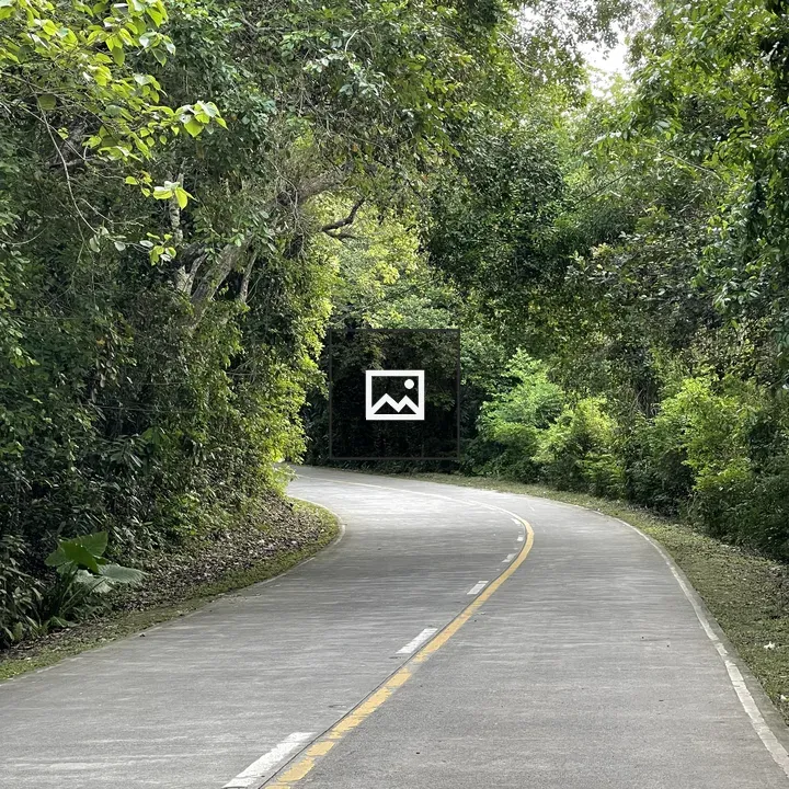 Winding road through forested area
