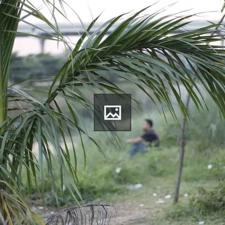 Palm fronds foreground
