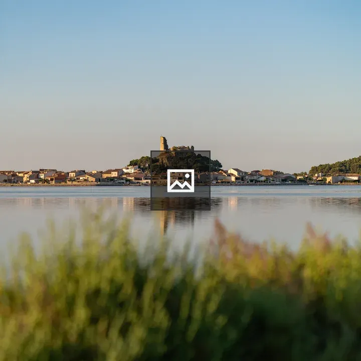 Castle of Gruissan at Dawn