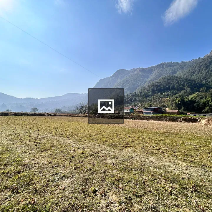 Arjunchoupari Village Landscape