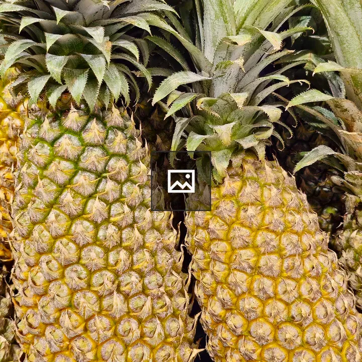 Fresh pineapples at market