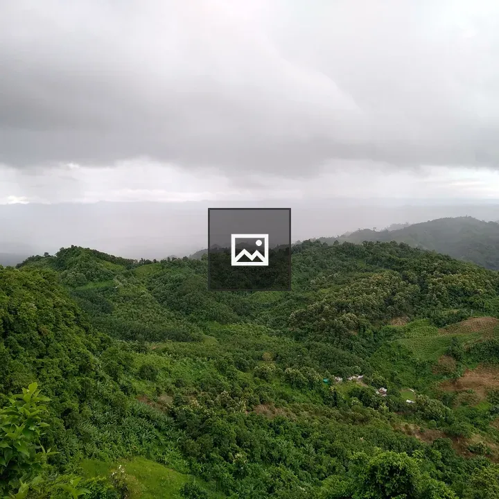Bandarban tropical forest