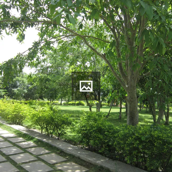 Park with trees and pathway