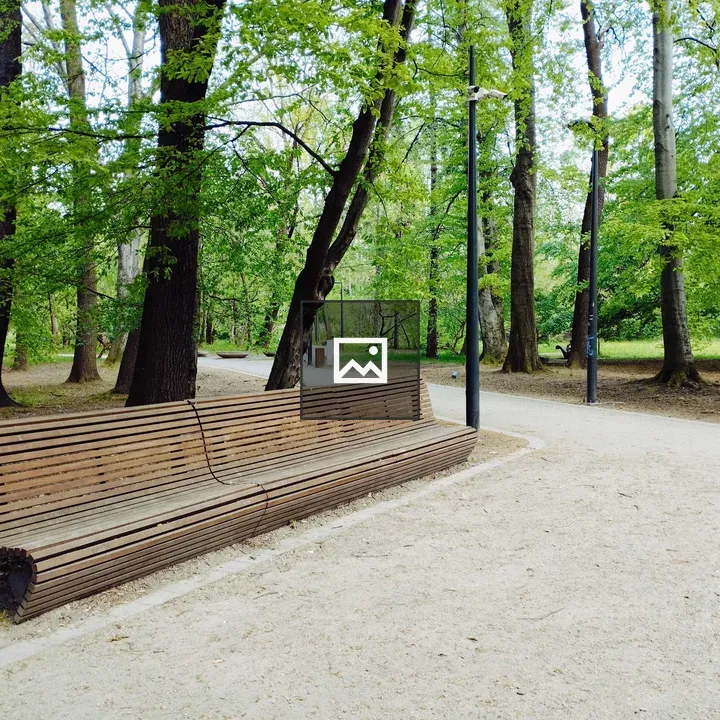 Wooden bench in park scene