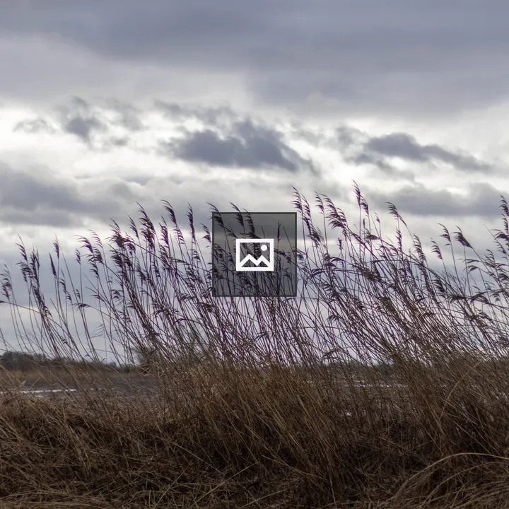 Cloudy Sky Over Tall Grass