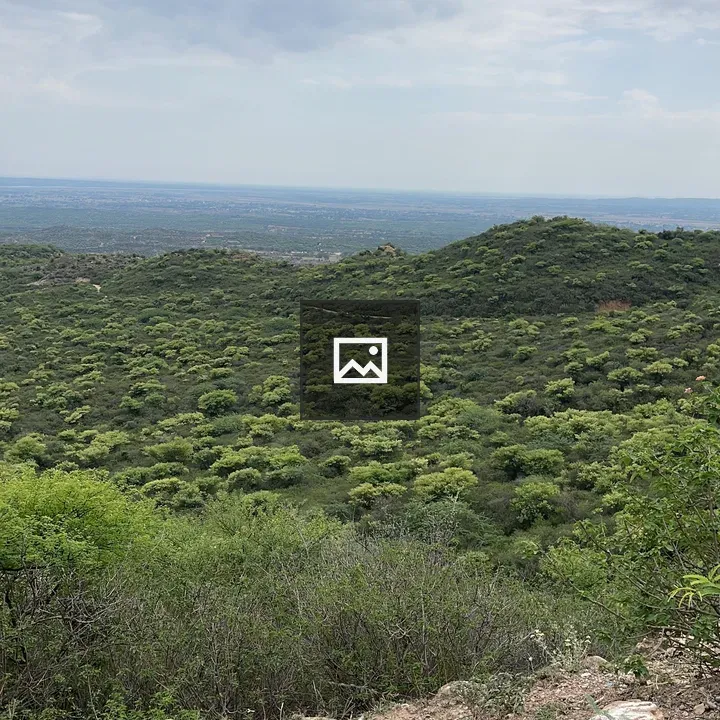 Green valley in the north