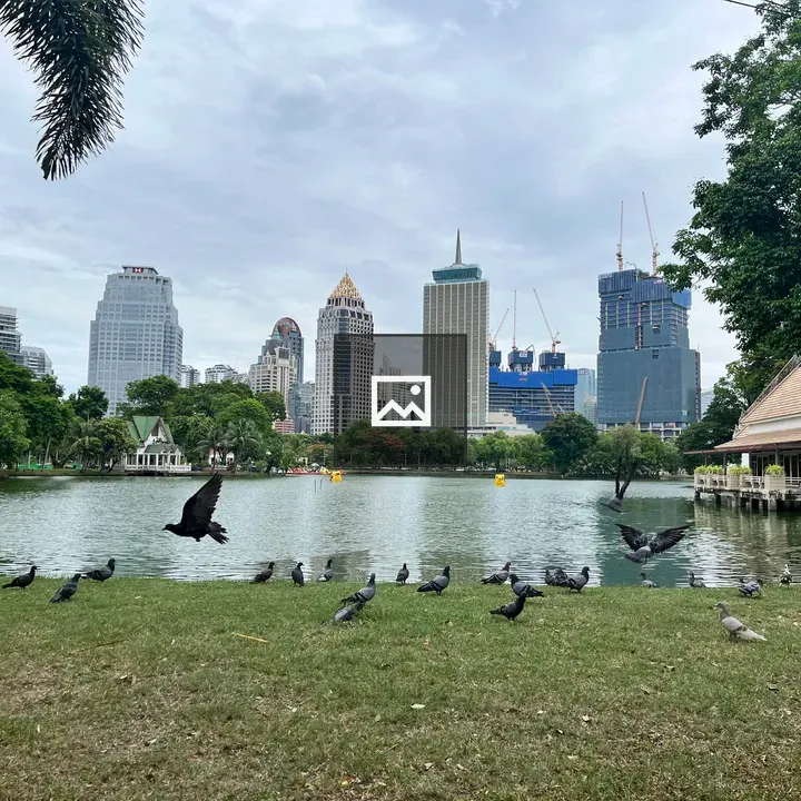 Pigeons by Lumphini Park Skyline