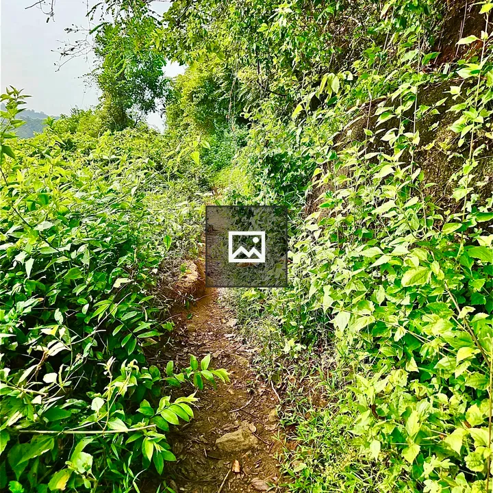 Village road in Oorkkadavu