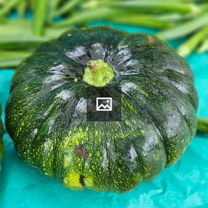 Close-up Green Pumpkin