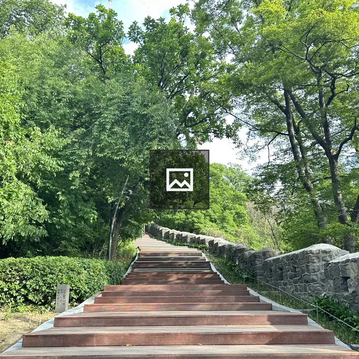 Wooden staircase amid greenery