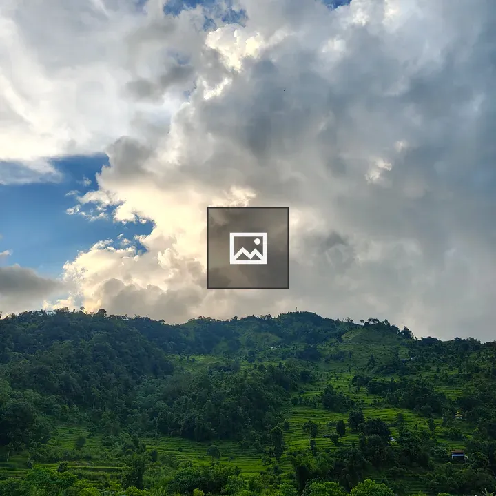 Terraced hillside landscape