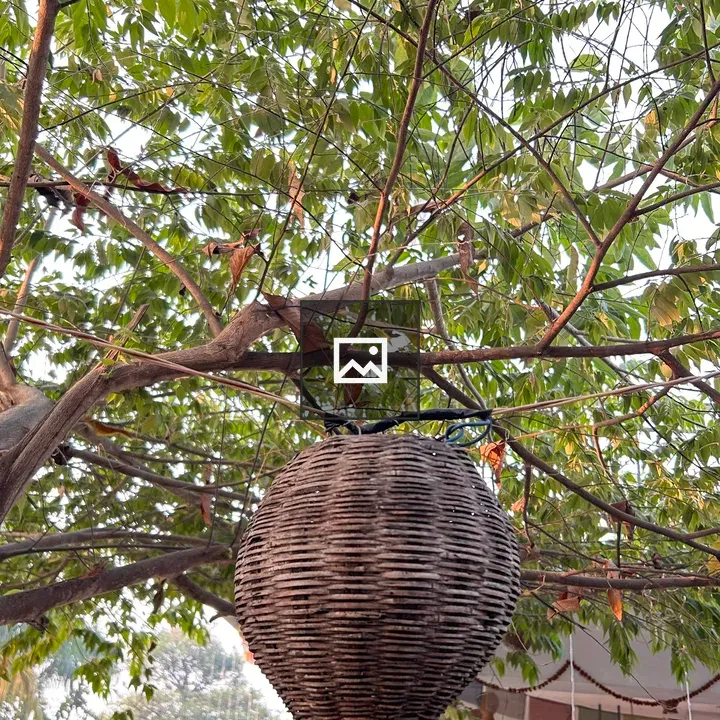 Woven hanging basket on branch