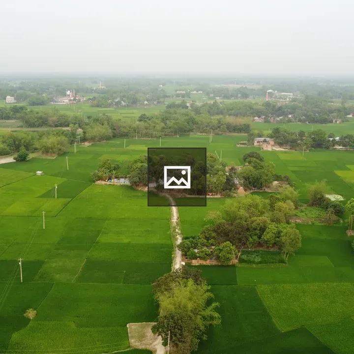 Bangladeshi green village aerial view