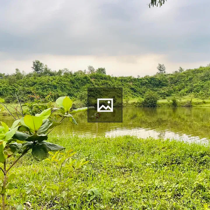 Boy in pond scene with greenery