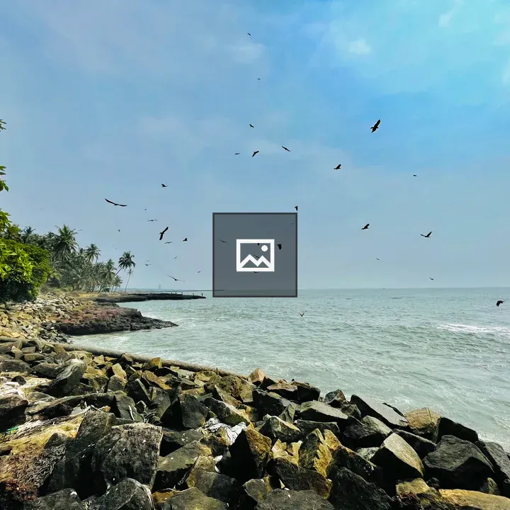 Fish hunting Eagles in Kerala