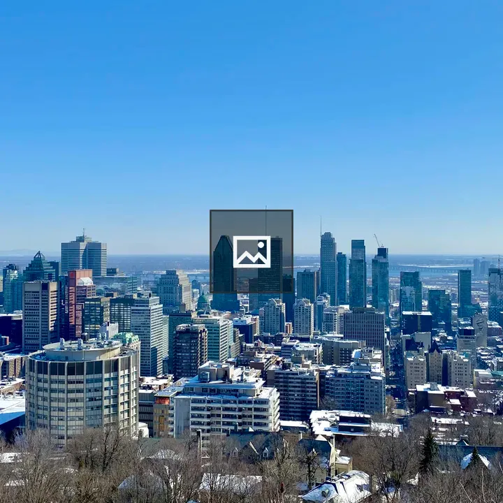 Montreal View from Mont-Royal Park