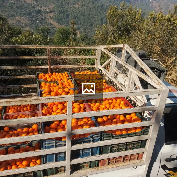 Truck with crates of citrus on hillside