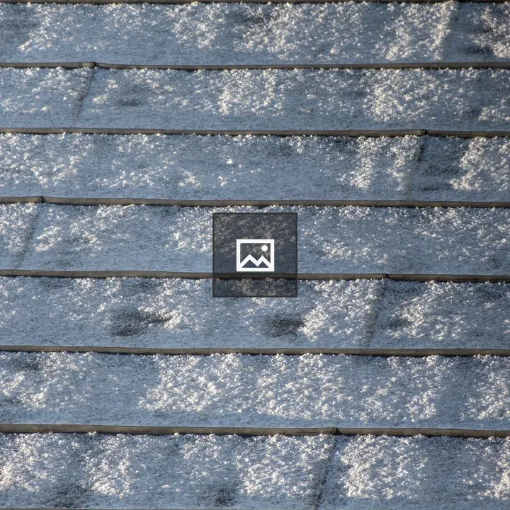 Snowy roof