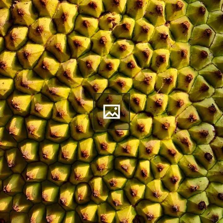 Jackfruit Skin Close-Up